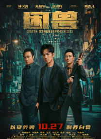 这些作品以真实为锚点、以女性视角为棱镜、以跨界技术为翅膀，